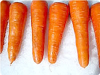Carrot